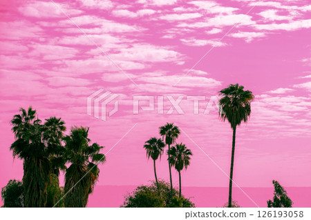 Palm trees against a pink sky. Tropical landscape.  Beautiful tropic nature 126193058