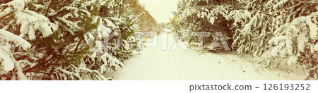 Vintage Christmas background. Winter forest covered with snow at daylight. Pine forest in winter. Horizontal banner 126193252
