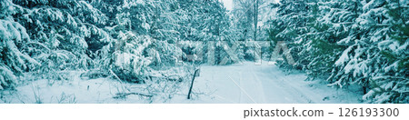 Christmas background. Winter forest covered with snow. Pine forest in winter. Horizontal banner Christmas background. Winter forest covered with snow. Pine forest in winter. Horizontal banner 126193300