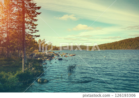 Trees on the rocky shore of a lake in front of the mountains 126193306