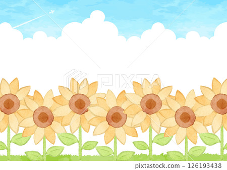 向日葵田和藍天的背景圖 向日葵田和藍天的背景圖 126193438