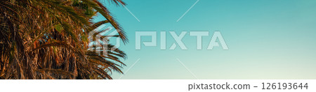 Seascape on a sunny day with a clear blue sky. Palm trees on the beach. Horizontal banner 126193644