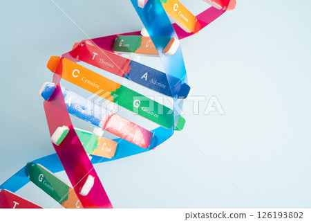 DNA or Deoxyribonucleic acid is a double helix chains structure formed by base pairs attached to a sugar phosphate backbone. DNA or Deoxyribonucleic acid is a double helix chains structure formed by base pairs attached to a sugar phosphate backbone. 126193802