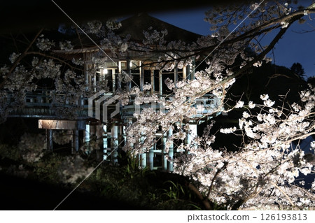 Ukimido and cherry blossoms Ukimido and cherry blossoms 126193813