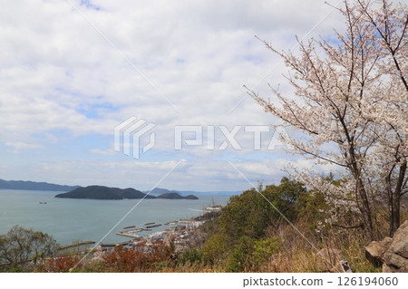 瀨戶內海和櫻花 126194060