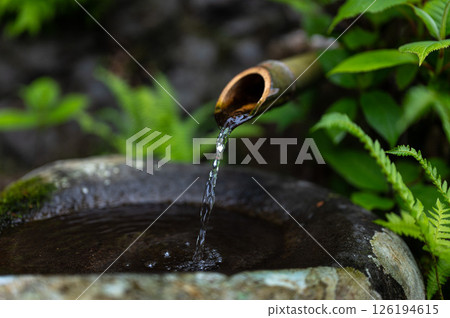 水流和苔蘚 水流和苔蘚 126194615