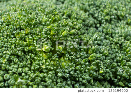 Green Broccoli Head with Detailed Texture 126194900