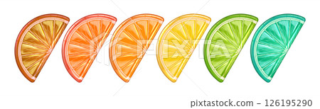 Colorful Citrus Slices in Gradient Spectrum 126195290