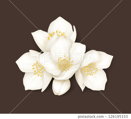 Elegant Jasmine Flower Illustration with Brown Background Elegant Jasmine Flower Illustration with Brown Background 126195333