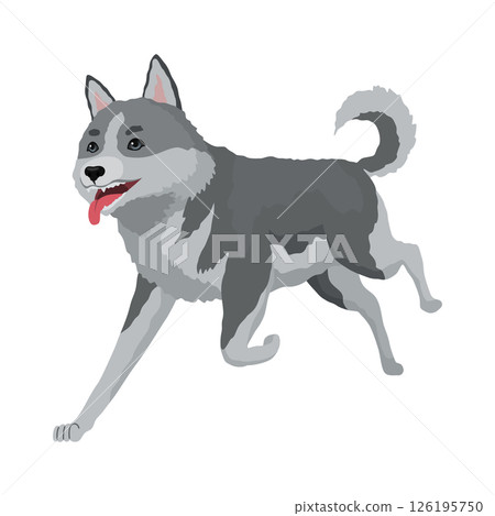 Cute gray wolf pose. Cartoon character of dangerous mammalian animal. Vector flat illustration isolated on white background 126195750