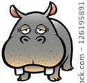 Hippopotamus 126195891