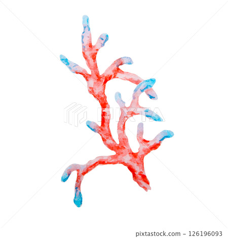 Red and blue coral branch. Watercolor marine illustration with vibrant colors. Perfect for ocean-themed designs, sea life decor, summer vacation projects, diving or aquarium content. Red and blue coral branch. Watercolor marine illustration with vibrant colors. Perfect for ocean-themed designs, sea life decor, summer vacation projects, diving or aquarium content. 126196093