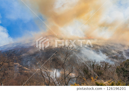 The mountain burning of Mt. Omuroyama, set against the blue sky of Ito City (Shizuoka Prefecture) The mountain burning of Mt. Omuroyama, set against the blue sky of Ito City (Shizuoka Prefecture) 126196201