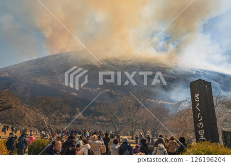The mountain burning of Mt. Omuroyama, set against the blue sky of Ito City (Shizuoka Prefecture) 126196204