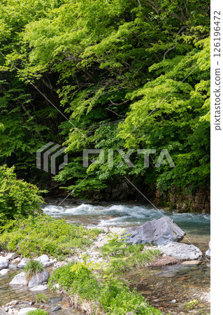 Shima Onsen in early summer: The flow of the Shima River 126196472