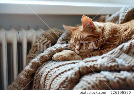 Fluffy red young little cat relaxing on warm radiator with plaid against white wall. Ginger kitten is sleeping in funny pose. Cold season. Banner for website. Pet cat warming up near heater. Heating. 126196550