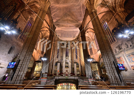 巴塞隆納大教堂（聖尤拉莉亞大教堂） 126196770