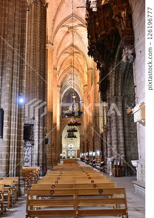 巴塞隆納大教堂(聖尤拉莉亞大教堂) 巴塞隆納大教堂(聖尤拉莉亞大教堂) 126196777