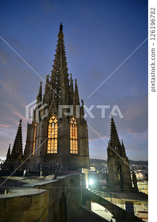 Barcelona Cathedral (Cathedral of Santa Eulalia) Barcelona Cathedral (Cathedral of Santa Eulalia) 126196782