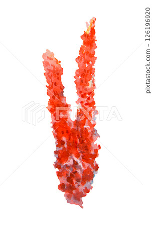 Red coral branch painted in watercolor. Textured marine element perfect for ocean-themed projects, tropical reef designs, aquarium visuals, biology materials, scuba diving and travel illustrations 126196920