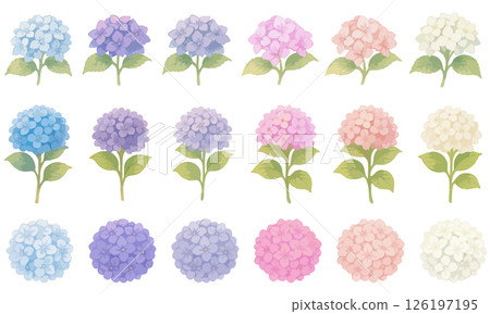 Set of watercolor-style hydrangea illustrations | A collection of flower parts that can be used by color and shape 126197195