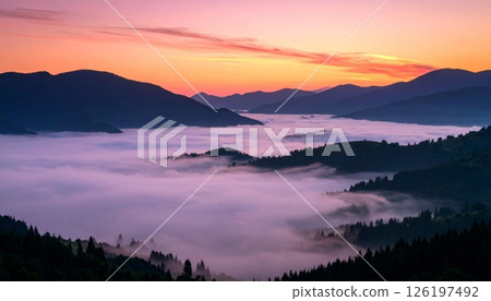 Pink sunrise over a valley with beautiful flowers and thick fog Pink sunrise over a valley with beautiful flowers and thick fog 126197492
