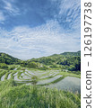 Oyama Senjita 126197738