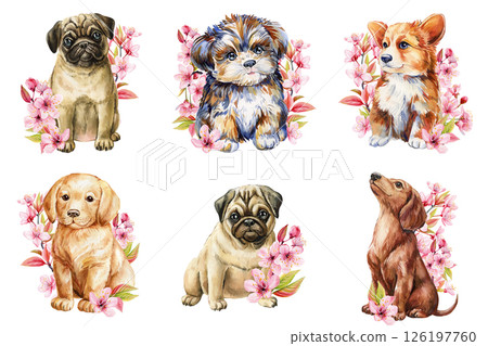 Cute Watercolor Pug Puppy Sitting with Pink Cherry Blossoms, Adorable Dog Clipart for Nursery Decor, Greeting Cards, Prints 126197760