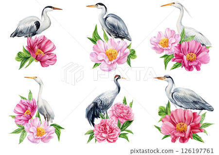 Watercolor birds with pink peony flowers, herons and cranes floral composition, Asian nature art, elegant botanical illustration Watercolor birds with pink peony flowers, herons and cranes floral composition, Asian nature art, elegant botanical illustration 126197761