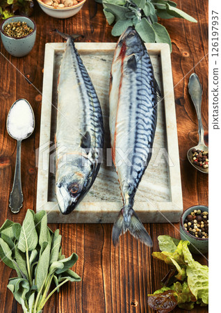 Fresh Atlantic mackerel. 126197937