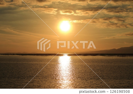 Omuta City Ariake Sea Nori field, Omuta City Ariake Sea Nori field, 126198508