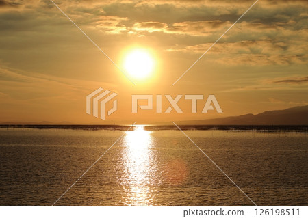 Omuta City Ariake Sea Nori field, Omuta City Ariake Sea Nori field, 126198511