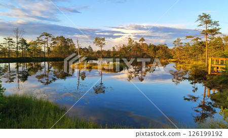 Scenic view of a calm forest lake during golden hour in Estonia, with pine trees reflecting on the still water 126199192