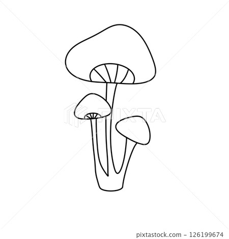 A mushroom with three stems A mushroom with three stems 126199674