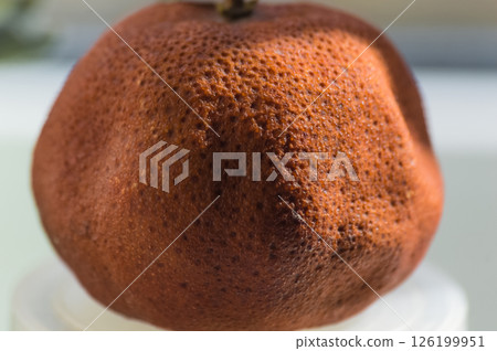 Dark-colored mandarin that is drying fruit on a white plastic jar. Close up. Dark-colored mandarin that is drying fruit on a white plastic jar. Close up. 126199951