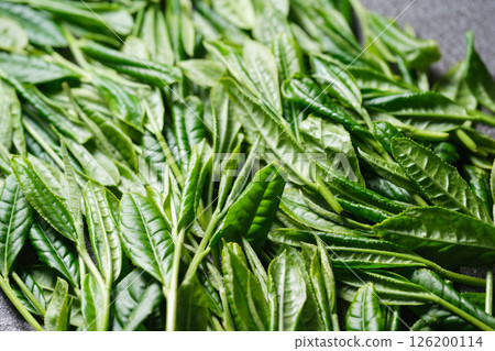 New tea leaves New tea leaves 126200114
