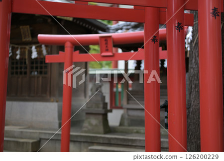 Red torii 126200229