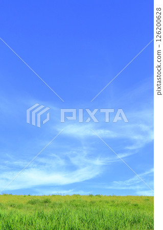 清新的夏日風景 清新的夏日風景 126200628
