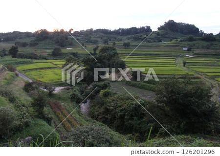 水稻梯田的風景 水稻梯田的風景 126201296