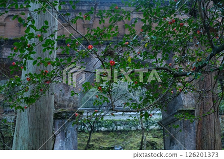 Camellia flowers and Suirokaku Camellia flowers and Suirokaku 126201373