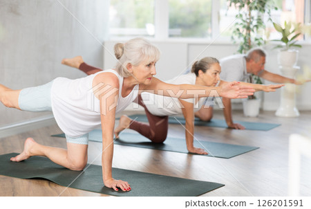 Elderly women pushing-up and being on hands and feet with straight body while practicing Plank Pose or Makara Adho Mukha in fitness center Elderly women pushing-up and being on hands and feet with straight body while practicing Plank Pose or Makara Adho Mukha in fitness center 126201591