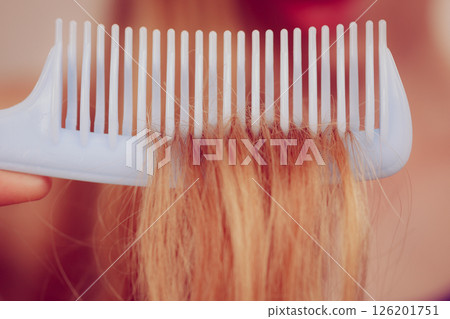 Blonde woman with her damaged dry hair. 126201751