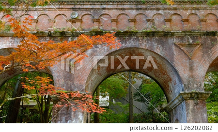 秋葉和水路 秋葉和水路 126202082