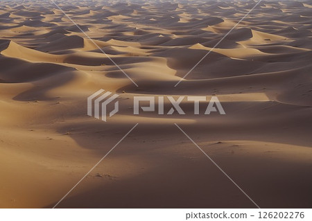 Sea of sand formations of Erg Chigaga dune at Sahara desert in southeastern MOROCCO 126202276