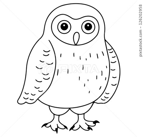 Coloring book. Cute polar owl character. Vector illustration in doodle style. Coloring book. Cute polar owl character. Vector illustration in doodle style. 126202958