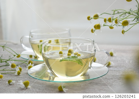 洋甘菊茶 洋甘菊茶 126203241