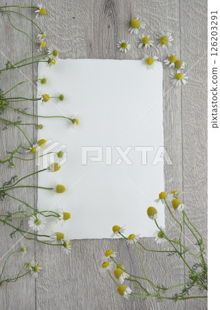 Chamomile Letter 126203291