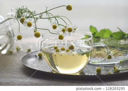 洋甘菊茶 洋甘菊茶 126203295