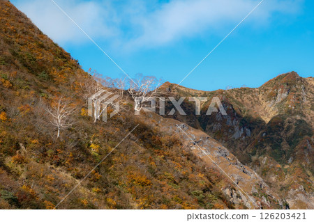 Iinoyama在秋天 126203421