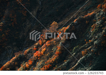 Iinoyama in autumn 126203743